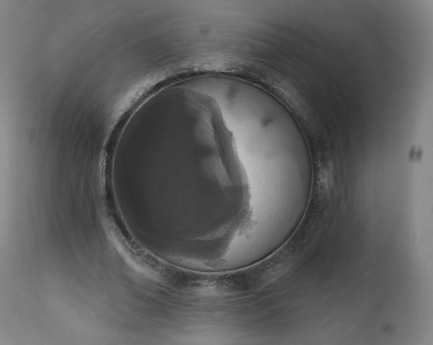 X0000112500678200908241350