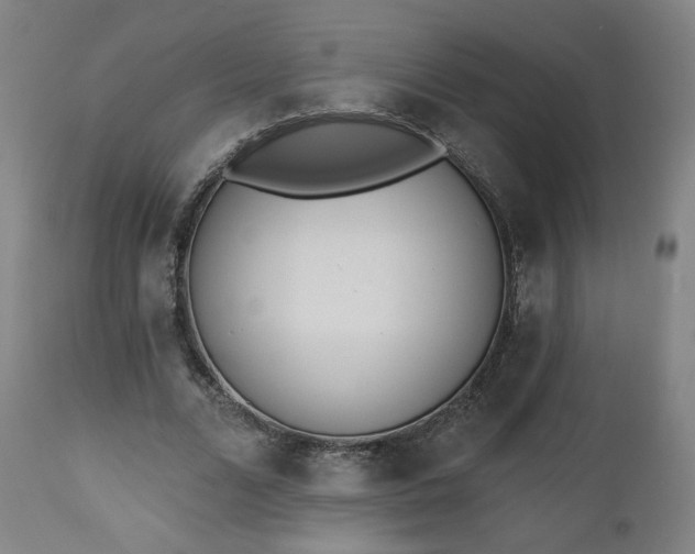 X0000112500680200908241350