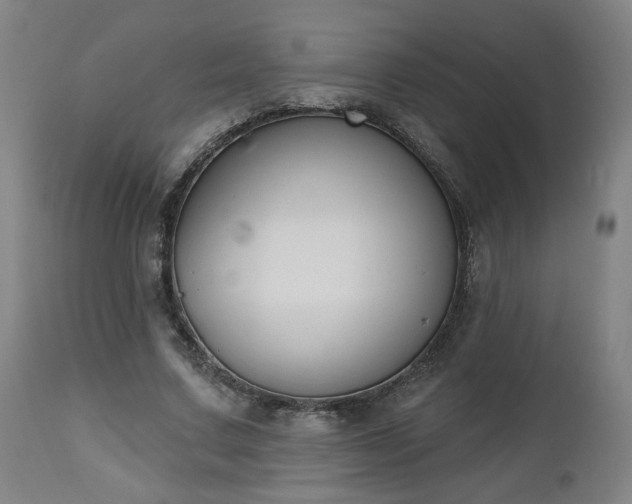 X0000112500683200908241350