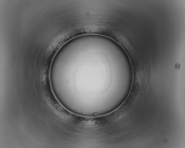 X0000112500687200908241350