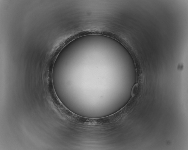 X0000112500688200908241350