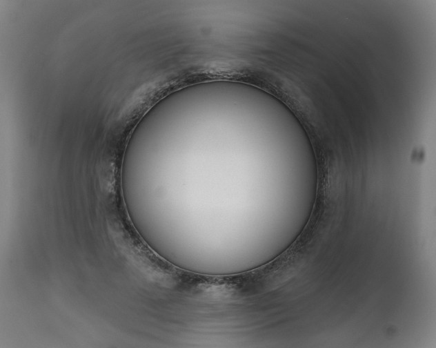 X0000112500689200908241350