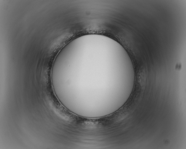 X0000112500690200908241350