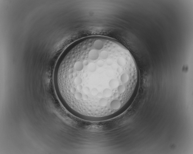 X0000112500691200908241350