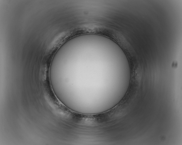 X0000112500694200908241350