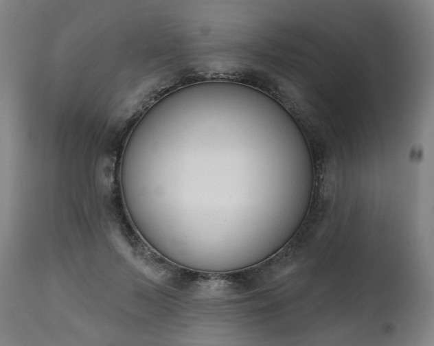 X0000112500695200908241350