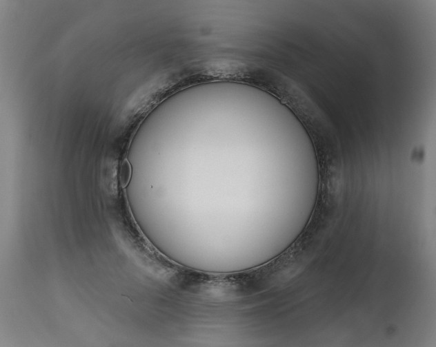 X0000112500696200908241350