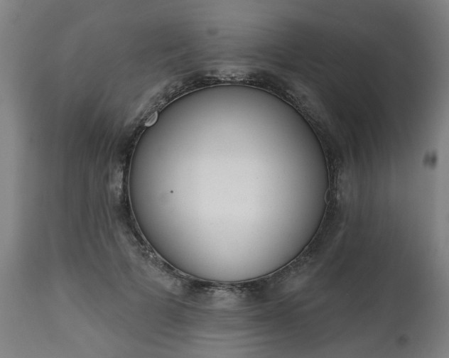 X0000112500697200908241350