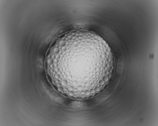 X0000112500699200908241350