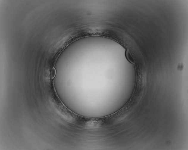 X0000112500700200908241350