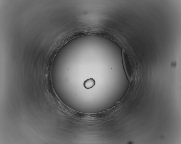 X0000112500701200908241350