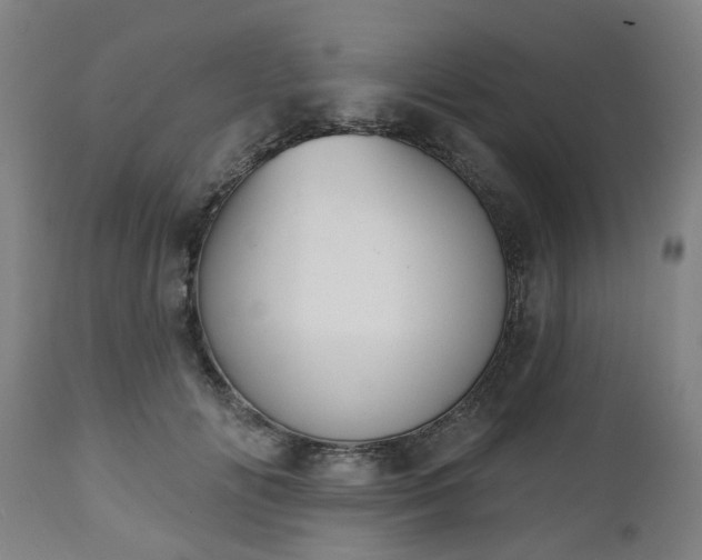 X0000112500702200908241350