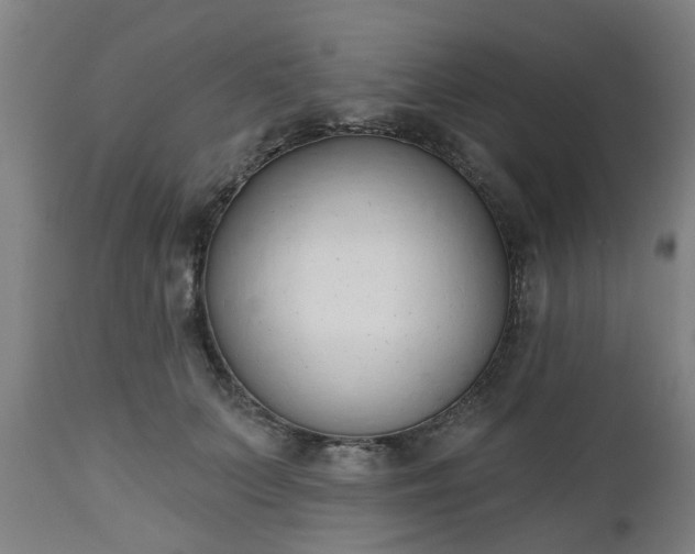 X0000112500703200908241349