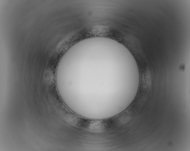 X0000112500705200908241349