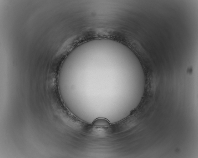 X0000112500706200908241349