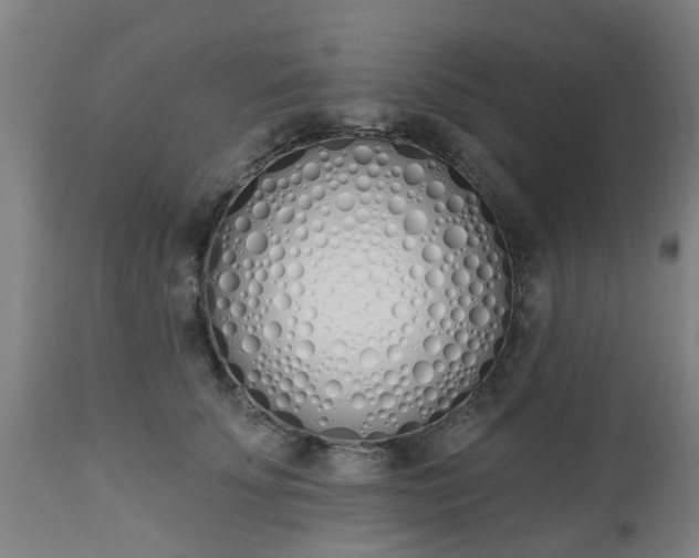 X0000112500707200908241349