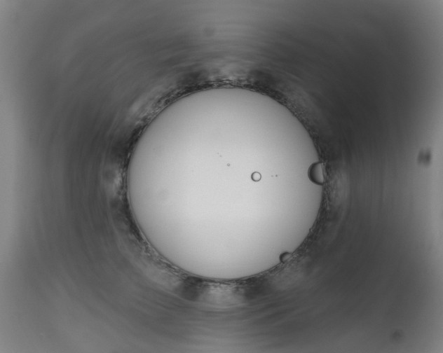 X0000112500709200908241349