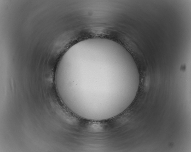 X0000112500710200908241349