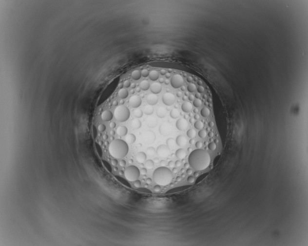 X0000112500711200908241349