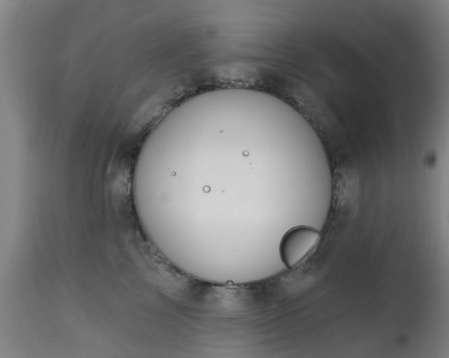 X0000112500713200908241349