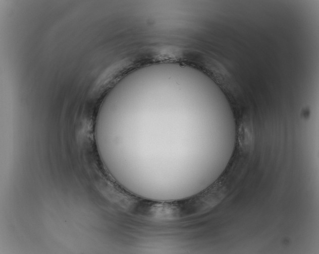 X0000112500714200908241349