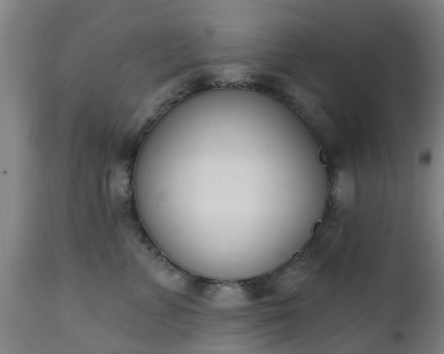 X0000112500715200908241349