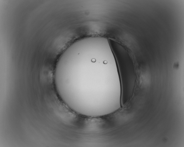 X0000112500716200908241349