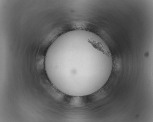 X0000112500717200908241349