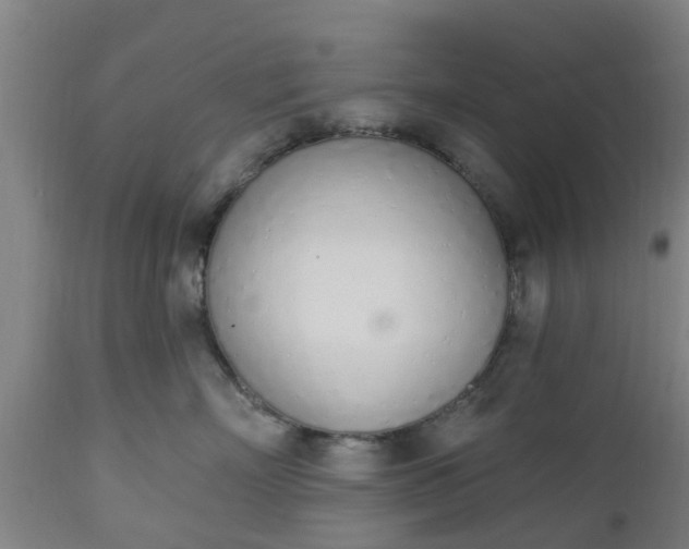 X0000112500718200908241349