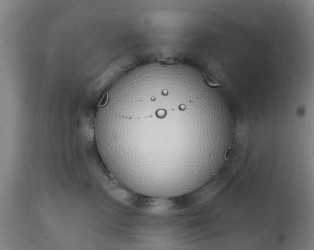 X0000112500719200908241349