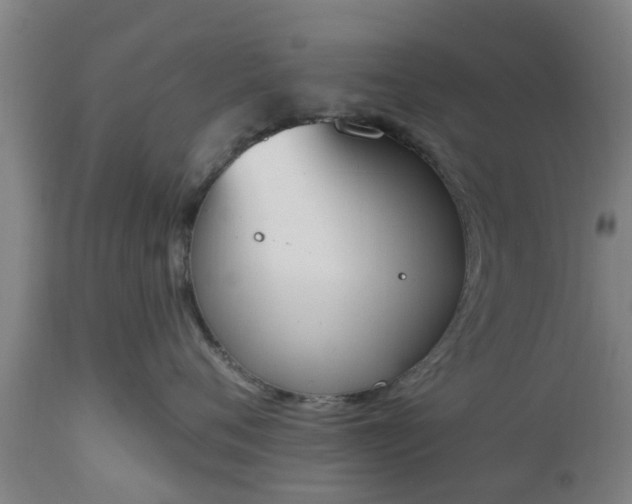 X0000112500720200908241349