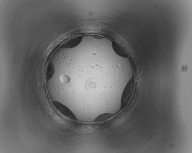 X0000112500721200908241348