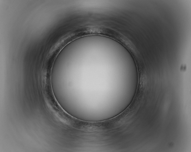 X0000112500722200908241348