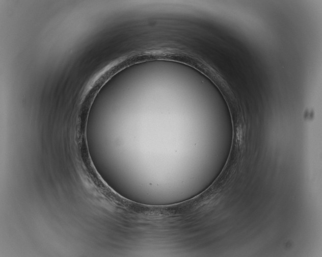 X0000112500724200908241348