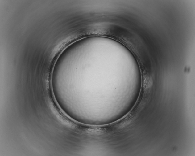 X0000112500725200908241348