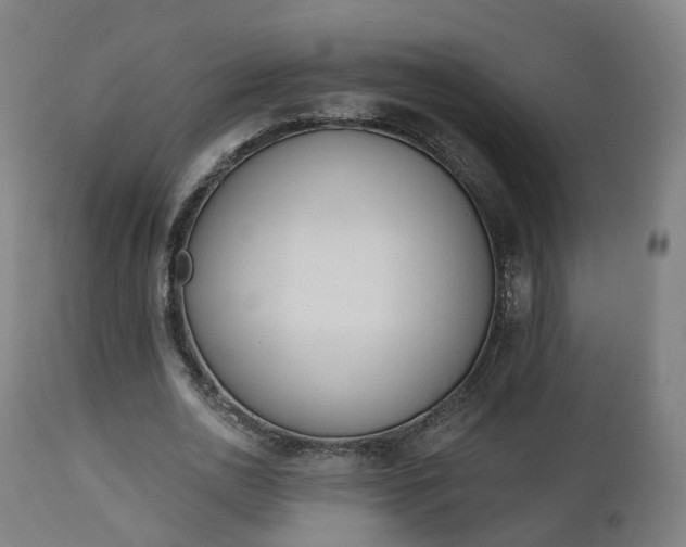 X0000112500726200908241348