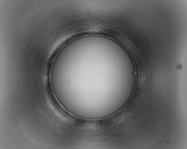 X0000112500728200908241349