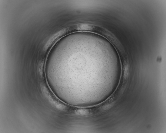 X0000112500729200908241349