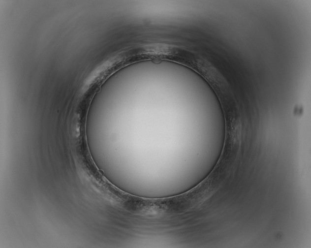 X0000112500731200908241349