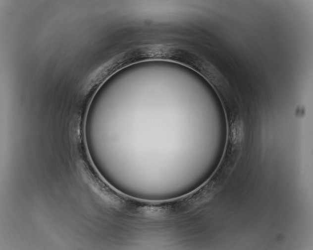 X0000112500733200908241349