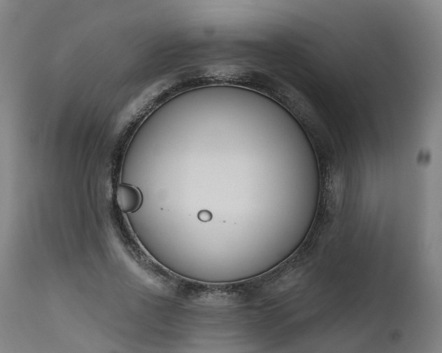 X0000112500734200908241349