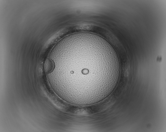 X0000112500735200908241349