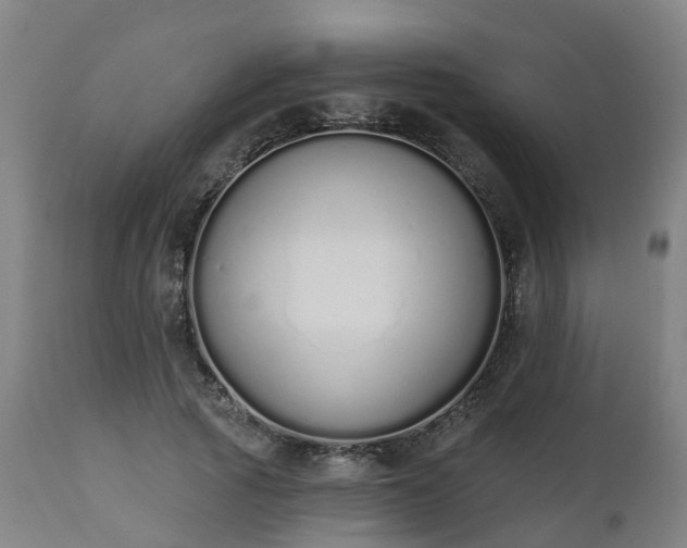 X0000112500737200908241349