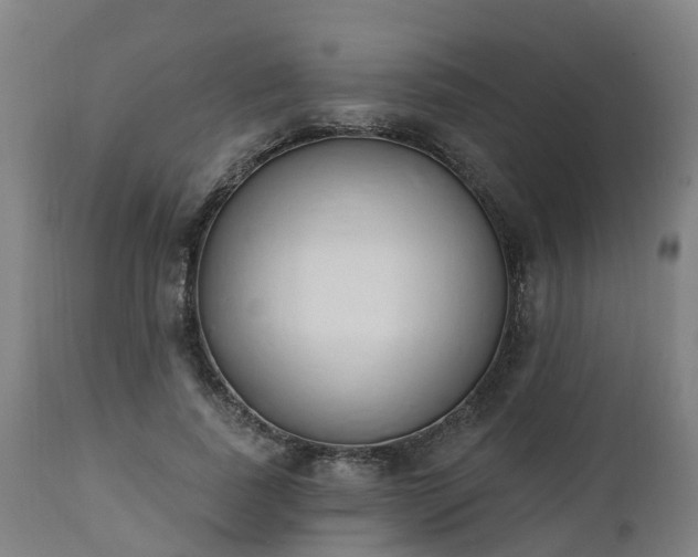 X0000112500739200908241349