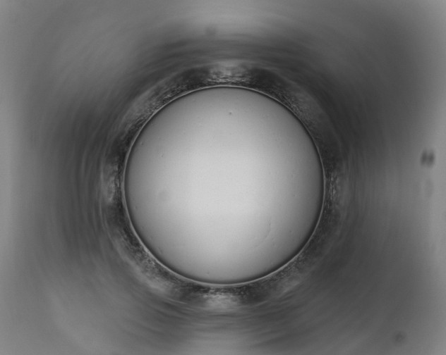 X0000112500741200908241349