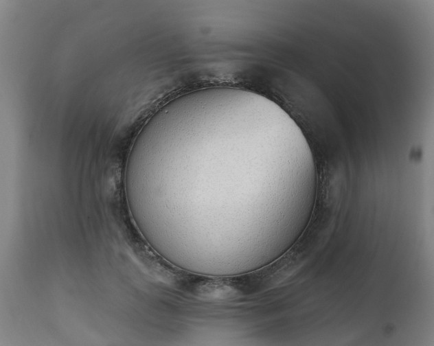 X0000112500747200908241349