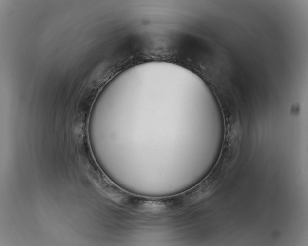 X0000112500749200908241349