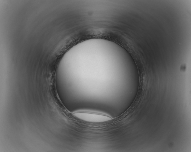 X0000112500750200908241349