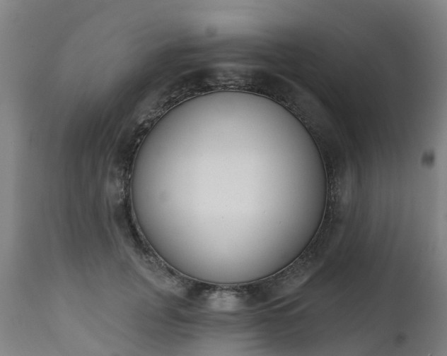 X0000112500751200908241349