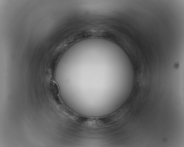 X0000112500752200908241349